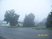 Morning fog over Shamrock road