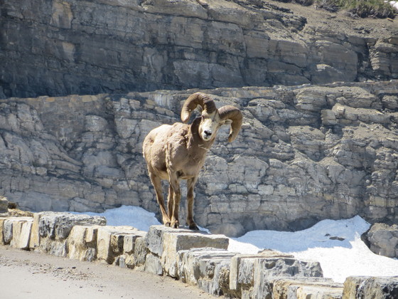 Glacier National Park