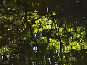 Reflections in the Shubie Canal