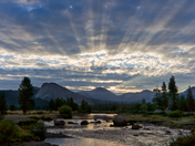 Yosemite Nat'l Park