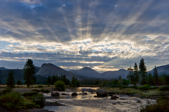 Yosemite Nat'l Park