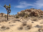 Joshua Tree National Park