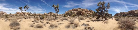 Joshua Tree National Park