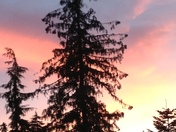 Wenatchee National Forest