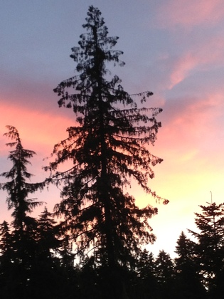 Wenatchee National Forest