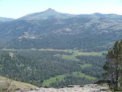 Toiyabe National Forest