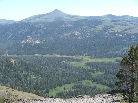 Toiyabe National Forest