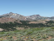 Toiyabe or Eldorado National Forest