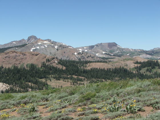 Toiyabe or Eldorado National Forest