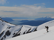 Tongass National Forest