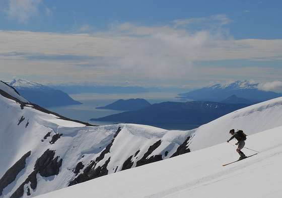 Tongass National Forest