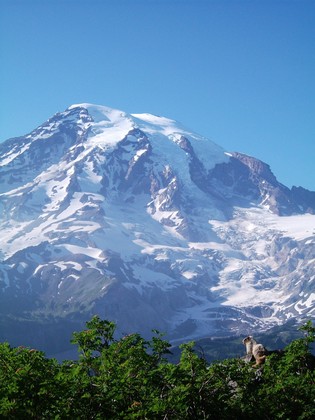 Mt. Rainier National Park