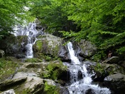 Shenandoah National Park