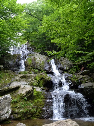 Shenandoah National Park