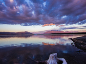 Katmai National Park