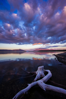 Katmai National Park