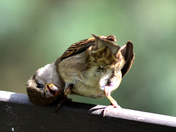 What are you looking at