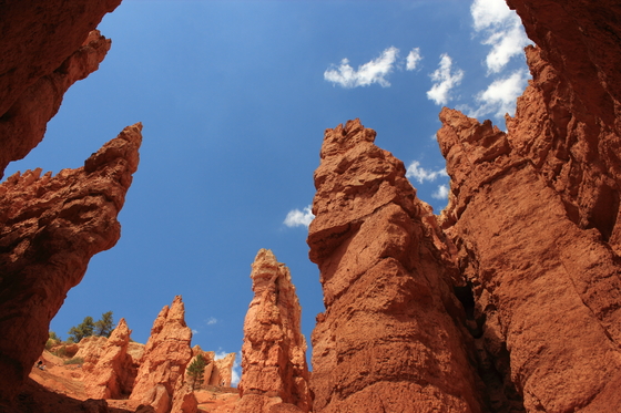 Bryce Canyon