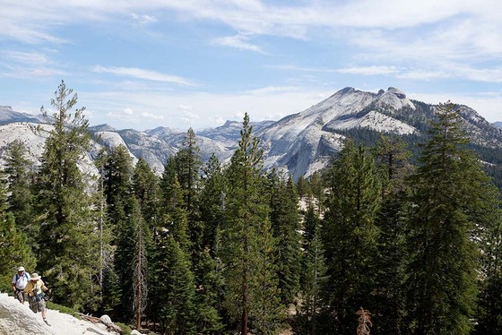 Yosemite Nat'l Park
