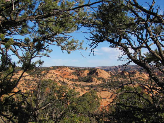 Navajo National Monument