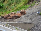 Kadiak National Wildlife Refug