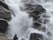 Sequioa NP