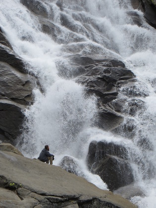 Sequioa NP