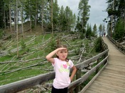 Yellowstone National Park