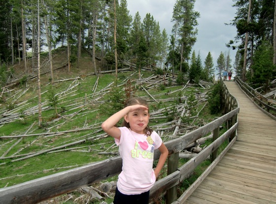 Yellowstone National Park