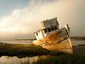 Point Reyes National Seashore