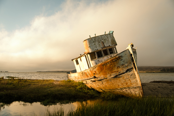 Point Reyes National Seashore