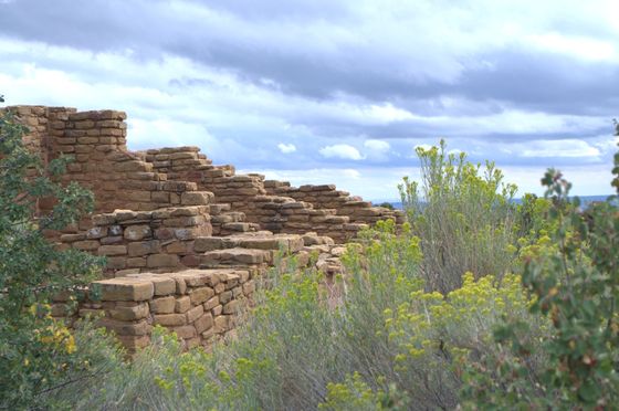 Mesa Verde National Park