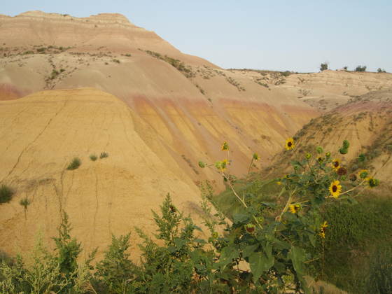 Badlands - Yellow Mounds