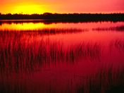 Sunset at Folly Lake