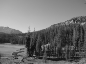 Lassen National Forest