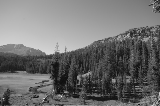 Lassen National Forest