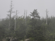 Great Smoly Mountains NP