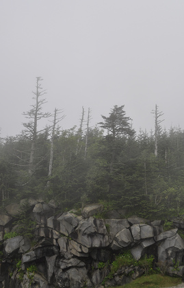 Great Smoly Mountains NP