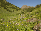 Chugach National Forest