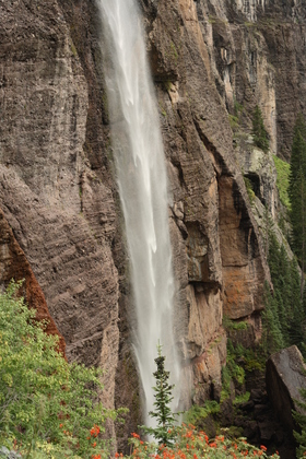 Uncompahge National Forest