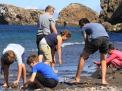 Channel Islands National Park