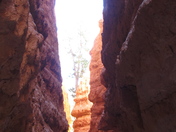 Bryce Canyon N.P.