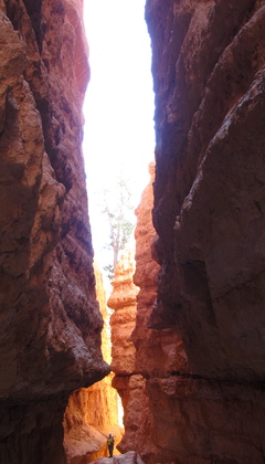Bryce Canyon N.P.