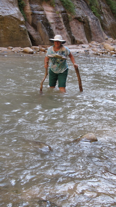 Zion N.P.