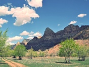 Zion National Park