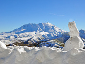 Mt. St. Helens National Volcanic Sitee
