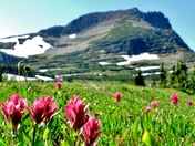Glacier National Park