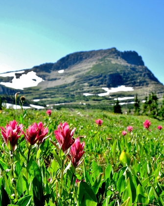 Glacier National Park