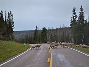 Cedar Breaks
