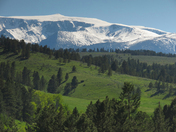 Custer National Forest